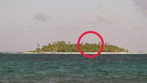 The Professor Revealed the Gilligan’s Island Location