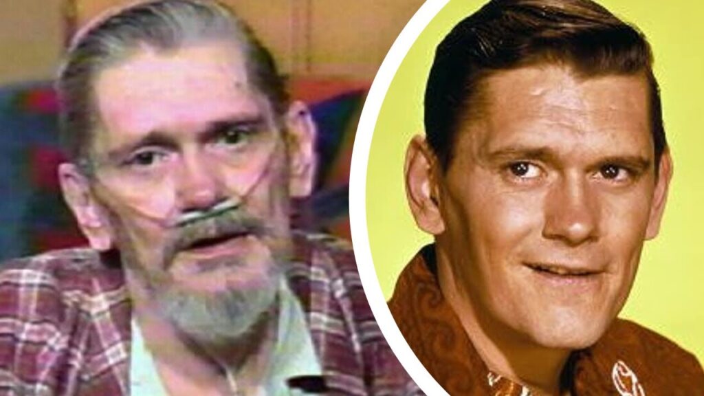 Dick York’s Descent: The Troubled Journey Before His Untimely Death
